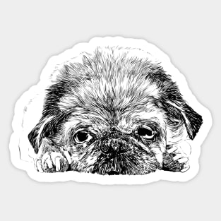 Sad Pug Sticker